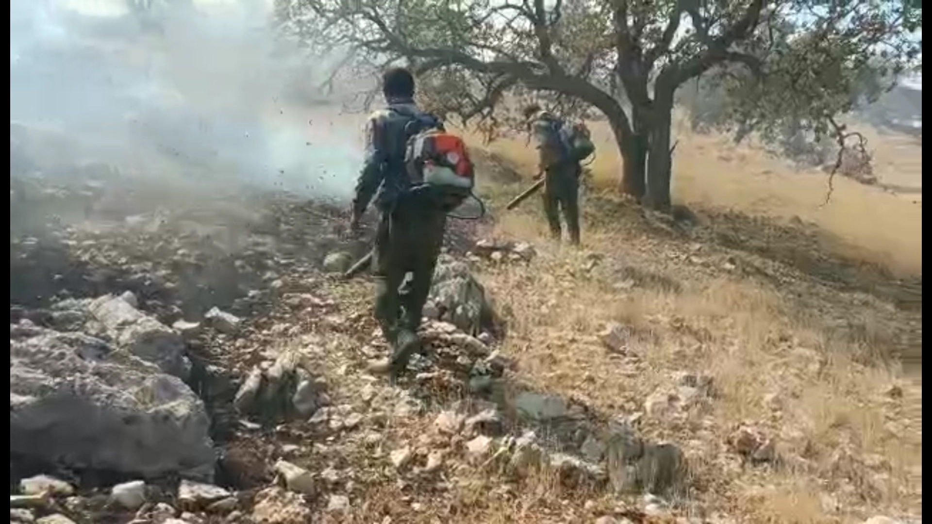 مهار آتش‌سوزی در کوه‌های خان یک روستای گلگون