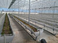 پرداخت ۲۹۴ میلیارد تومان تسهیلات تبصره ۱۸ به بهره برداران بخش کشاورزی