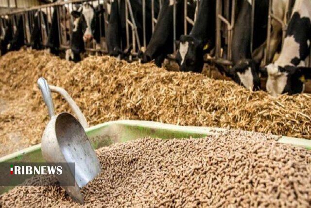 توزیع ۱۷۶ هزار و ۳۵۶ تن نهاده دامی در خراسان شمالی توزیع ۱۷۶ هزار و ۳۵۶ تن نهاده دامی در خراسان شمالی