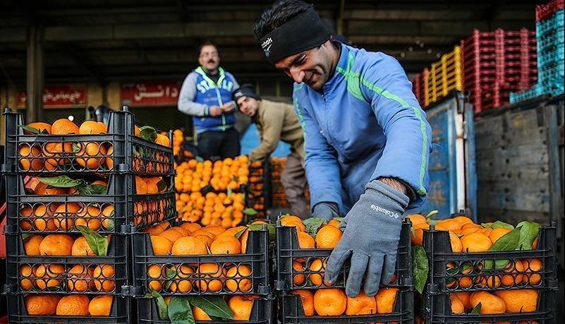 تشدید نظارت‌ها بر بازار میوه و تره‌بار زنجان