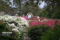 شرایط جوی نسبتا آرام در بیشتر نقاط هرمزگان، ۳ آبان