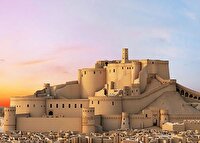 بم؛ پایتخت همدلی جهانی