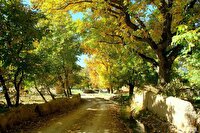 وضعیت جوی استان در روزهای آینده پایدار خواهد بود