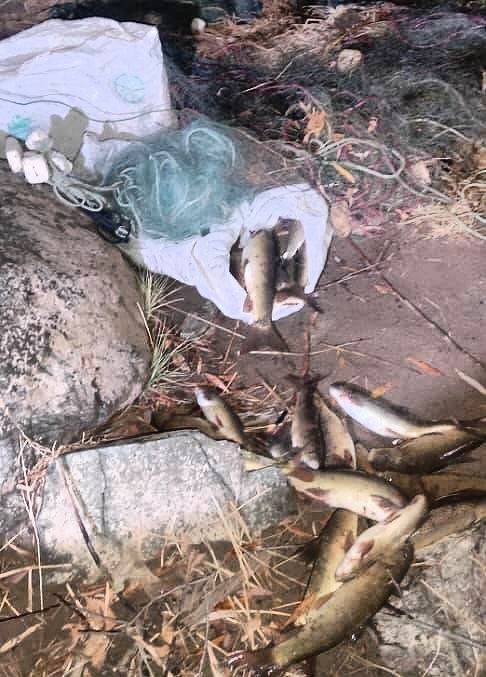 جمع‌آوری ادوات صید غیرمجاز از رودخانه زاب سردشت