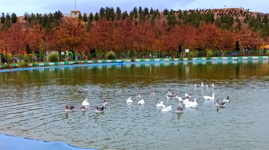 فریدونشهر در صدر بارش‌های شبانه روز گذشته