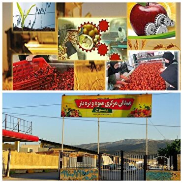 میدان میوه و تره بار و صنایع تبدیلی ؛ حلقه مفقوده باغداری در کهگیلویه و بویراحمد