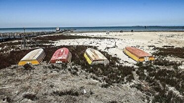 خشک شدن ۲۰ هزار هکتار از تالاب میانکاله