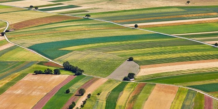 بازگرداندن بیش از ۱۵ هزار مترمربع زمین ملی در خوزستان بازگرداندن بیش از ۱۵ هزار مترمربع زمین ملی در خوزستان