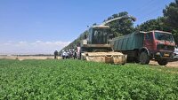 جوین یکی از قطب‌های آزمایشی برای توسعه‌ی ترویج دانش و فناوری در بخش کشاورزی