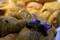 کشف ۶ کیلو و ۹۰۰ گرم تریاک در اردبیل