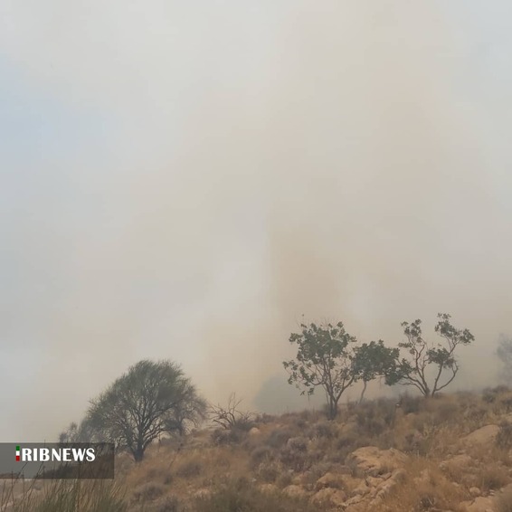 مهار آتش سوزی در ارتفاعات خائیز کهگیلویه