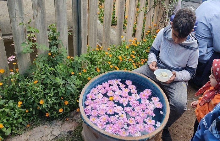 جشنواره گل محمدی