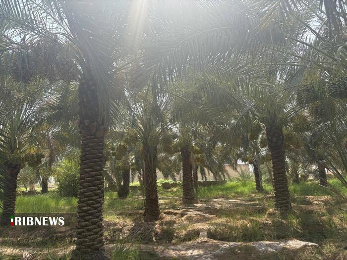 پیام خوزستان