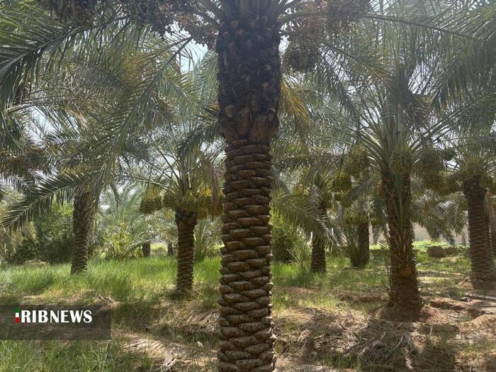 پیام خوزستان